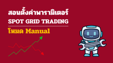 paramitor spot grid