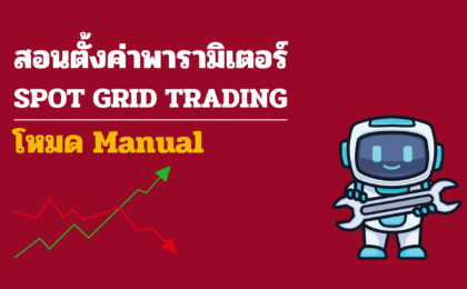 paramitor spot grid